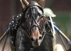 opalvikingn_091031_19629