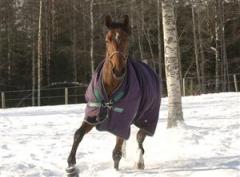 lord_capar_i_hage_091109_202721