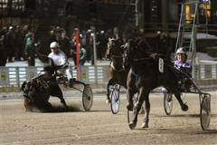 Hästen Only Lavec stupar och Jim Frick kastas handlöst i marken. Foto: Maria Holmén