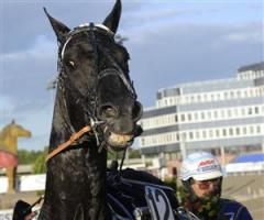 2-cash-is-fun-zaz-segerdef-lj_100526_22824