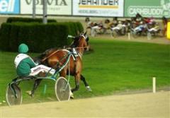 3-one-too-many-langt-efter-faltet-lj_100901_22511