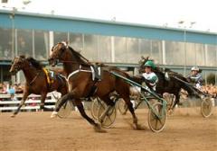 Seger igen f&ouml;r Maharajah. Efter&aring;t konstaterade b&aring;de kusk och tr&auml;nare att h&auml;sten &auml;n en g&aring;ng vann utan att vara som b&auml;st. Foto: Maria Holm&eacute;n