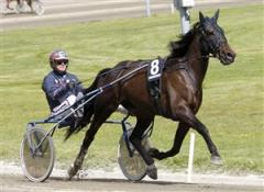 dig-for-dollars-mg_100913_165054