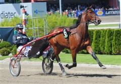 Lisa America, h&auml;r med sin tr&auml;nare Jerry Riordan, vann Sundsvall Open Trot med Torbj&ouml;rn Jansson och duon kan upprepa samma succ&eacute; i &Aring;by Stora Pris. Foto. Claes K&auml;rrstrand.