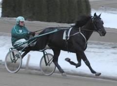 Stefan tror att Panne De Moteur kommer att bli en tidig häst. Foto: Travkompaniet