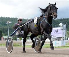 hallsta-lotus-och-ohlsson-ck_110527_154757