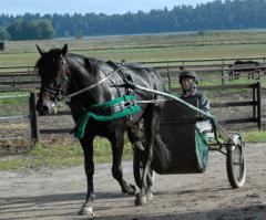 Panne-