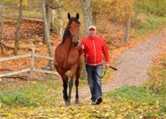 tamla-och-walmann-lj_110926_172945