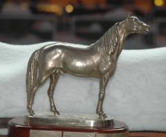 Silverhasten