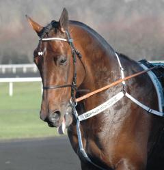 Maharajah är kung var han än befinner sig, så även på Vincennes. Foto; A.Lindblom/Travkompaniet