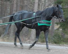 Panne11