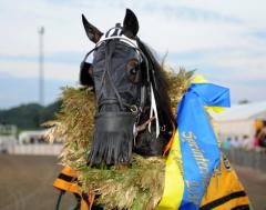 Orecchietti, kransad vinnare av Sprintermästaren 2011.