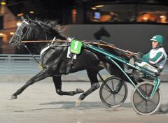 Panne De Moteur från spår 1 i Breeders Crownfinal. Foto; C.Kärrstrand/Hingstfotografen