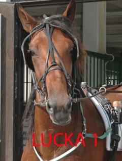 lucka-ett