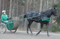 Panne