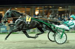 Den svarte blixten, Panne De Moteur slog till från start i Jubileumspokalen. Foto; C.Kärrstrand/Hingstfotografen