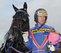 Francais du Gull och Erik Lindegren är det stora hemmahoppet när Gävletravet bjuder in till V75-jackpot och en gulddivision över ovanliga 3 140 meter.Foto av LARS JAKOBSSON