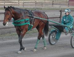 Survival-Kit-131129-2