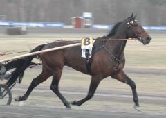 Foto: Annika Lindblom