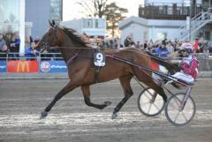 Inför derbykvalen hävdar Lutfi Kolgjini att ingen annan har någon fyraåring som är bättre än Archangel Am.  Foto av JEANNIE KARLSSON