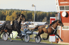 Quality-Questioned11