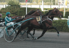 Scotch-Whisky-141003-2