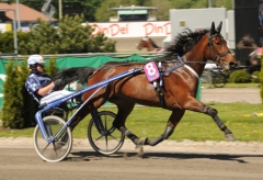 Dileva Käll och Peter G Norman inför starten i Elitloppet 2012. Foto av LARS JAKOBSSON