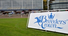 Finalfälten är klara inför årets Breeders' Crown-finaler på Sundbyholm 2 november. Foto av LARS JAKOBSSON