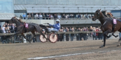 Virvlande spurt. Silver Annie vinner V75 på Åby för Erik Adielsson och insatsen den gången smakade mer. Foto av LARS JAKOBSSON