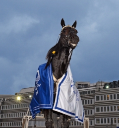 Kullens kung? Ivar Sånna kan ta karriärens största seger i söndagens Breeders' Crown-final på Sundbyholmstravet. Foto av LARS JAKOBSSON