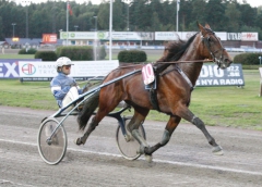 Emmett Brown och Erik Adielsson jagar 800 000 kronor i V75-7.  Foto av Urban Kihlman/ALN