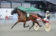 Är D'One och Örjan Kihlström ekipaget att lita på för den som vill vinna 15 miljoner på V86? Superstoet ser i alla fall ut att få favoritskapet i onsdagens högklassiga avslutande avdelning på Solvalla. Foto av LARS JAKOBSSON