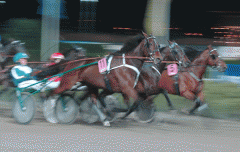 Quality-Questioned-141115-1