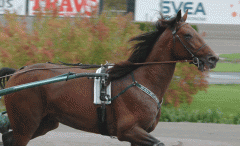 Random-Shot-141021-3