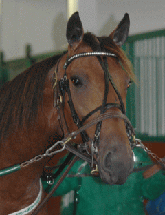 Random-Shot-121011-1