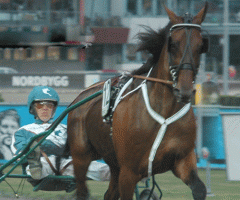 Quality-Questioned-140730-4