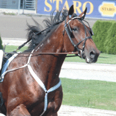 Scotch-Whisky-140808-3