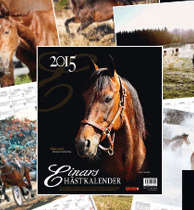 Einars hästkalender pryds i år av vår kejsare, Maharajah!