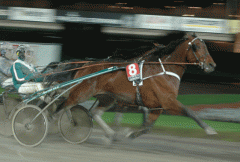 Scotch-Whisky-141210-3