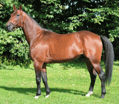 One-Too-Many-sept-14-4