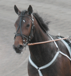 Smoke-Detector-140312-9