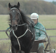 Orecchietti-131009-5