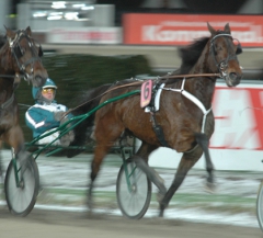 Quality-Queastioned-141226-1