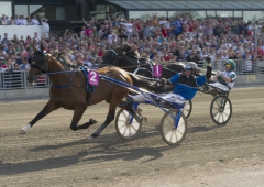 Timoko vinner Elitloppsfinalen 2014 tätt följd av vår hjälte, Panne De Moteur. Foto; ALN