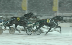 Panne De Moteur vinner årsdebuten och Kentucky Fibbers lopp. Foto; A.Lindblom/Travkompaniet