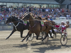 Panne De Moteur sluggar sig förbi Raja Mirchi, precis före mål i Elitloppsförsöket. Foto; ALN