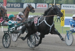 Orecchietti slog Solvato i Gulddivisionen på Halmstad i juli. Foto; A.Lindblom/Travkompaniet