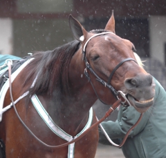 Vincennes-130224-1