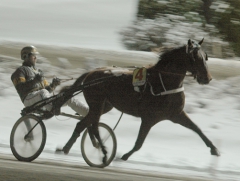 Survival-Kit-150121-3