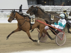 Jadeddottern Teeter Totter håller undan för Jocosesonen, Taffy. Foto; ALN